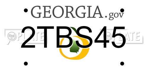 2TBS45 Georgia License Plate