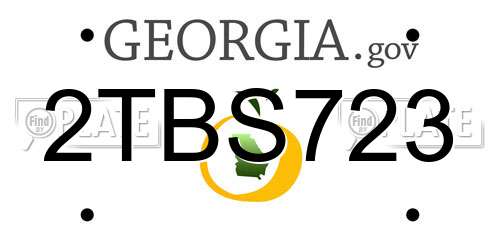 2TBS723 Georgia License Plate