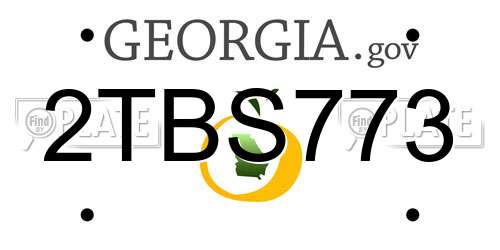 2TBS773 Georgia License Plate