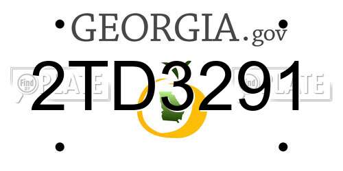 2TD3291 Georgia License Plate