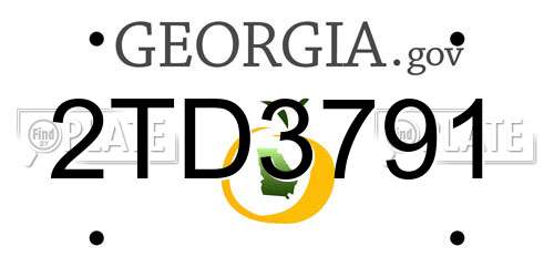 2TD3791 Georgia License Plate