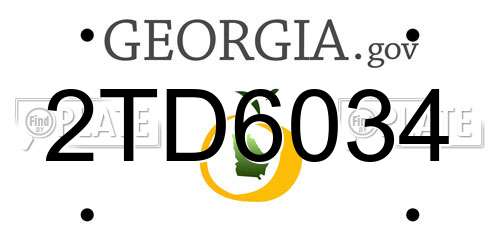 2TD6034 Georgia License Plate
