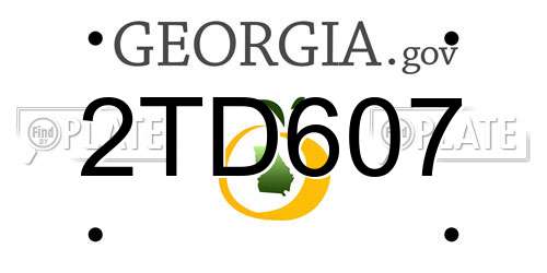 2TD607 Georgia License Plate
