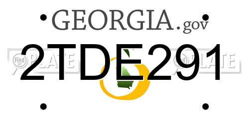 2TDE291 Georgia License Plate