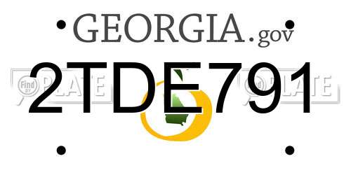 2TDE791 Georgia License Plate