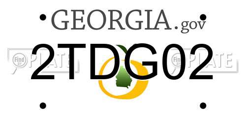 2TDG02 Georgia License Plate