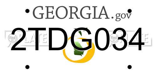 2TDG034 Georgia License Plate