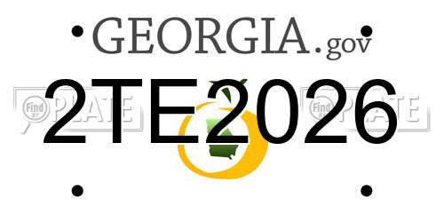 2TE2026 Georgia License Plate