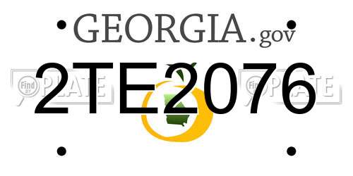 2TE2076 Georgia License Plate