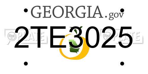 2TE3025 Georgia License Plate