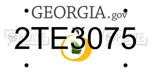 2TE3075 Georgia License Plate