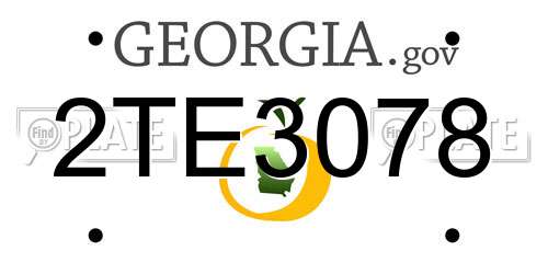 2TE3078 Georgia License Plate