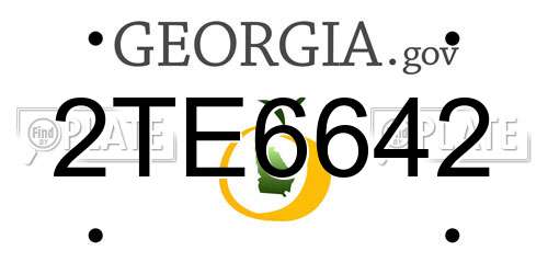2TE6642 Georgia License Plate