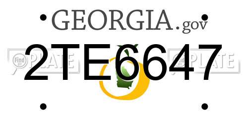 2TE6647 Georgia License Plate
