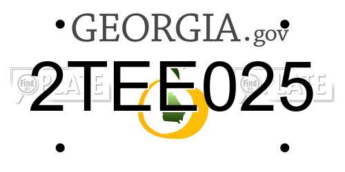 2TEE025 Georgia License Plate