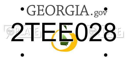 2TEE028 Georgia License Plate
