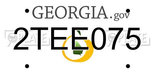 2TEE075 Georgia License Plate