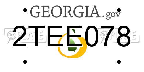 2TEE078 Georgia License Plate