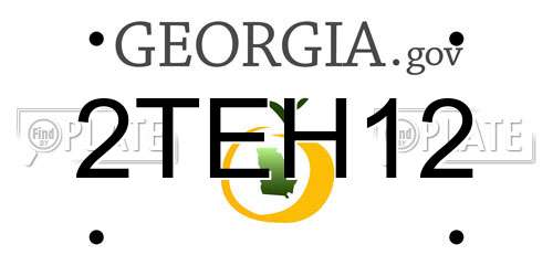 2TEH12 Georgia License Plate