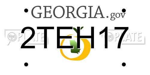 2TEH17 Georgia License Plate
