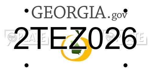 2TEZ026 Georgia License Plate