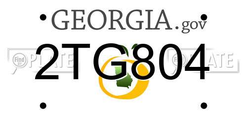 2TG804 Georgia License Plate