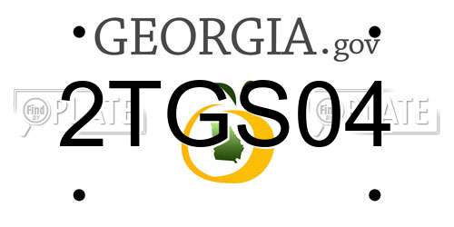 2TGS04 Georgia License Plate