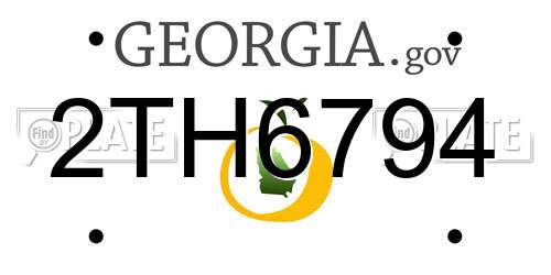 2TH6794 Georgia License Plate