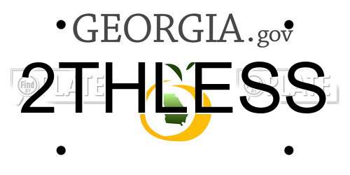 2THLESS Georgia License Plate