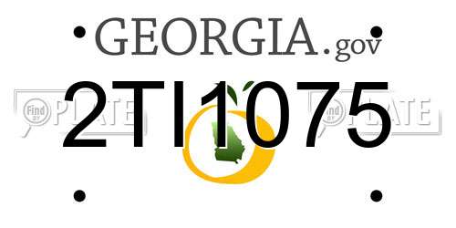 2TI1075 Georgia License Plate