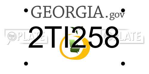 2TI258 Georgia License Plate