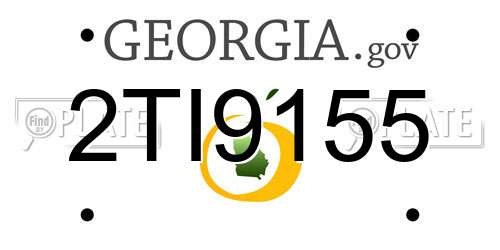 2TI9155 Georgia License Plate