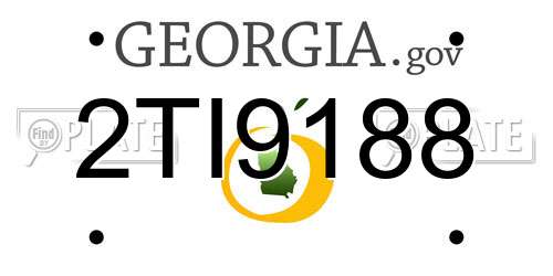 2TI9188 Georgia License Plate
