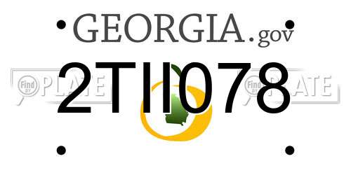 2TII078 Georgia License Plate