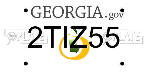 2TIZ55 Georgia License Plate