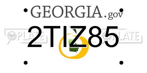 2TIZ85 Georgia License Plate