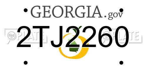 2TJ2260 Georgia License Plate