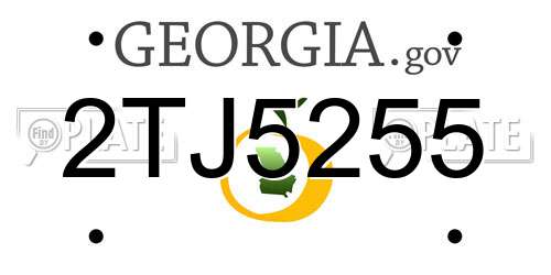 2TJ5255 Georgia License Plate