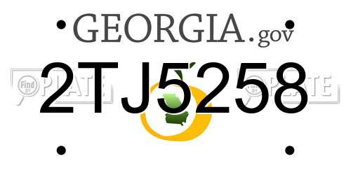 2TJ5258 Georgia License Plate