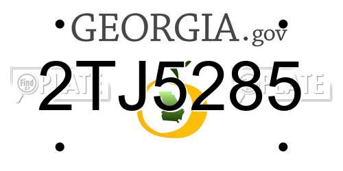 2TJ5285 Georgia License Plate