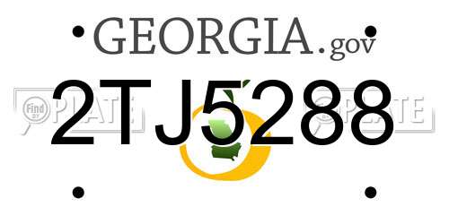 2TJ5288 Georgia License Plate