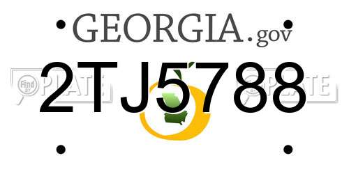 2TJ5788 Georgia License Plate