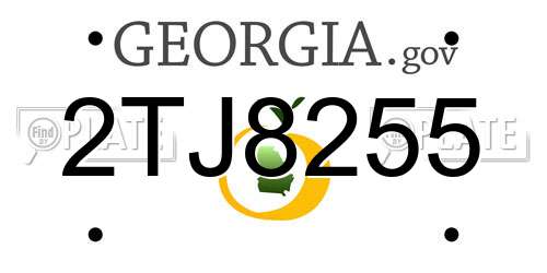 2TJ8255 Georgia License Plate