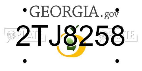 2TJ8258 Georgia License Plate
