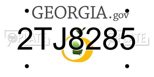 2TJ8285 Georgia License Plate