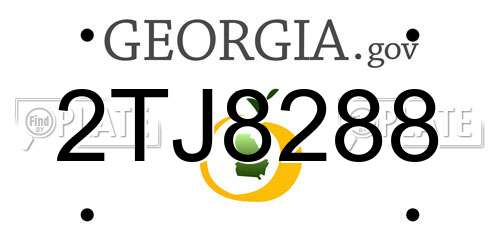 2TJ8288 Georgia License Plate
