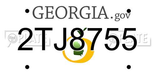 2TJ8755 Georgia License Plate