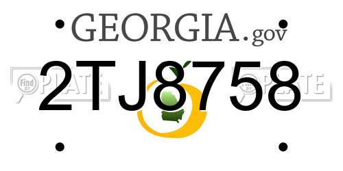 2TJ8758 Georgia License Plate