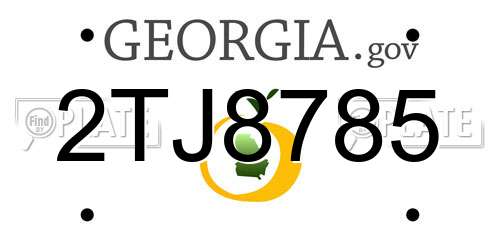2TJ8785 Georgia License Plate