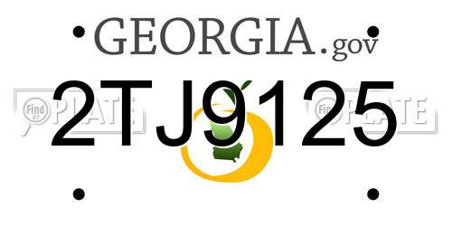 2TJ9125 Georgia License Plate